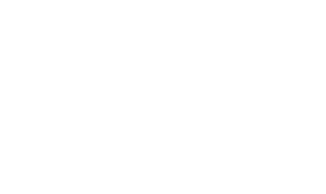 white Luna Logo