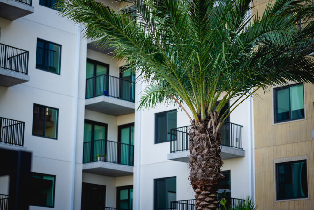 Luna Internal Courtyard